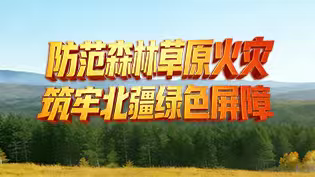 防范森林草原火灾 筑牢北疆绿色屏障