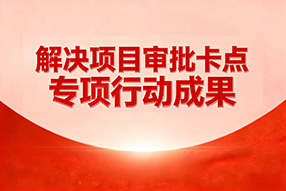 解决项目审批卡点专项行动成果